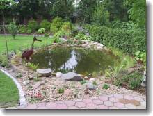 Gartenteich mit Steinzone und Steingarten kurz nach der Fertigstellung